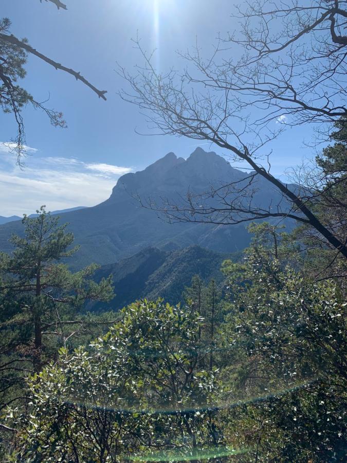 Saldes Pedraforca Apartment Luaran gambar
